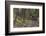 Mountain Biking the Whitefish Trail Near Whitefish, Montana, USA-Chuck Haney-Framed Photographic Print