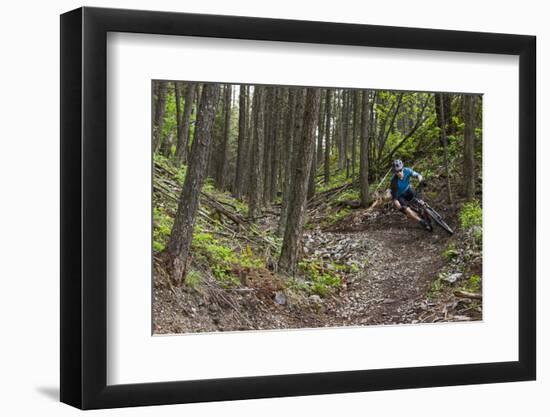 Mountain Biking the Whitefish Trail Near Whitefish, Montana, USA-Chuck Haney-Framed Photographic Print