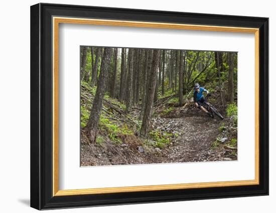 Mountain Biking the Whitefish Trail Near Whitefish, Montana, USA-Chuck Haney-Framed Photographic Print