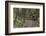 Mountain Biking the Whitefish Trail Near Whitefish, Montana, USA-Chuck Haney-Framed Photographic Print