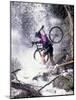 Mountain Biking, Vail, Colorado, USA-Lee Kopfler-Mounted Photographic Print