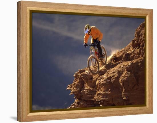 Mountain Biking-null-Framed Premier Image Canvas