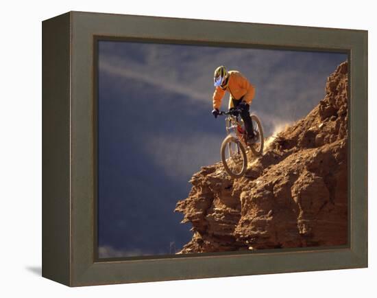 Mountain Biking-null-Framed Premier Image Canvas