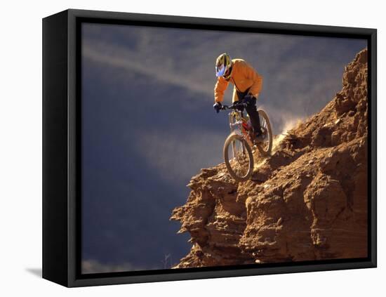 Mountain Biking-null-Framed Premier Image Canvas