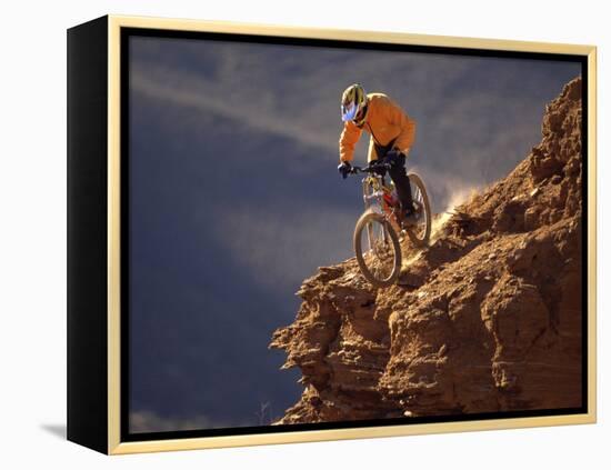 Mountain Biking-null-Framed Premier Image Canvas