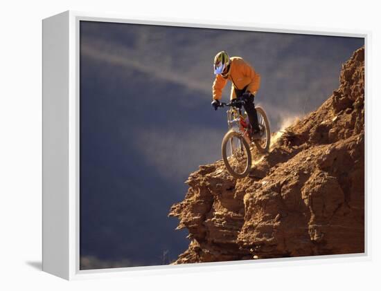 Mountain Biking-null-Framed Premier Image Canvas