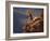 Mountain Biking-null-Framed Photographic Print