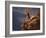 Mountain Biking-null-Framed Photographic Print