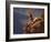 Mountain Biking-null-Framed Photographic Print