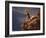 Mountain Biking-null-Framed Photographic Print