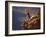 Mountain Biking-null-Framed Photographic Print