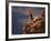 Mountain Biking-null-Framed Photographic Print