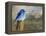 Mountain Blue Bird-Chris Vest-Framed Stretched Canvas