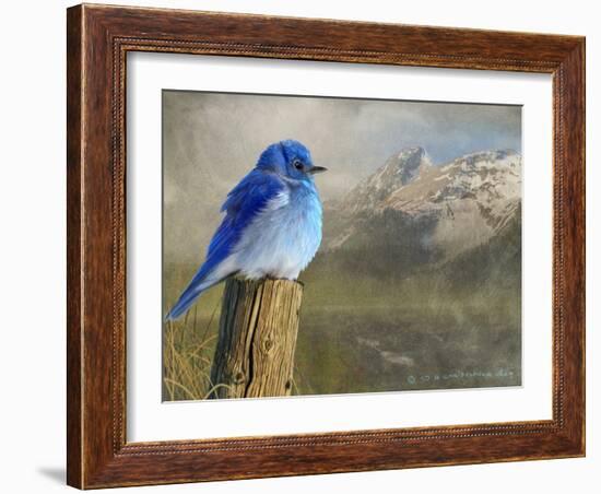 Mountain Blue Bird-Chris Vest-Framed Art Print
