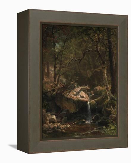 Mountain Brook, 1863-Albert Bierstadt-Framed Premier Image Canvas
