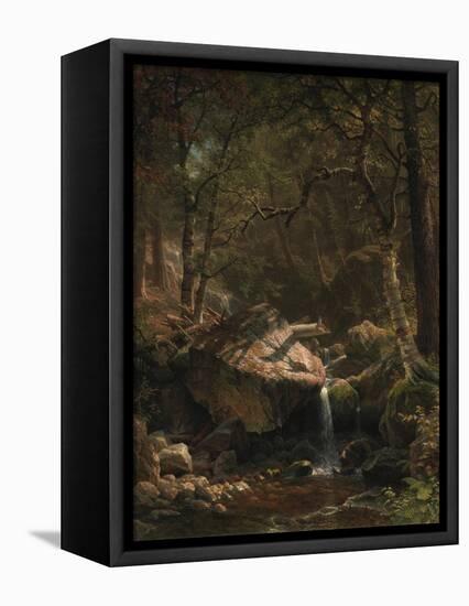 Mountain Brook, 1863-Albert Bierstadt-Framed Premier Image Canvas