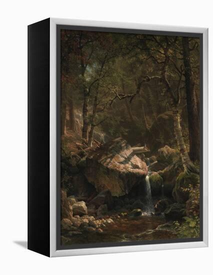 Mountain Brook, 1863-Albert Bierstadt-Framed Premier Image Canvas