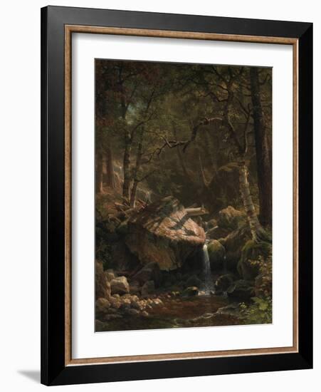 Mountain Brook, 1863-Albert Bierstadt-Framed Giclee Print