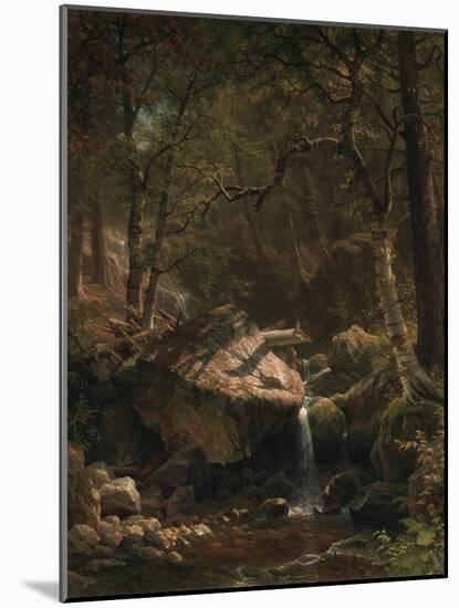 Mountain Brook, 1863-Albert Bierstadt-Mounted Giclee Print