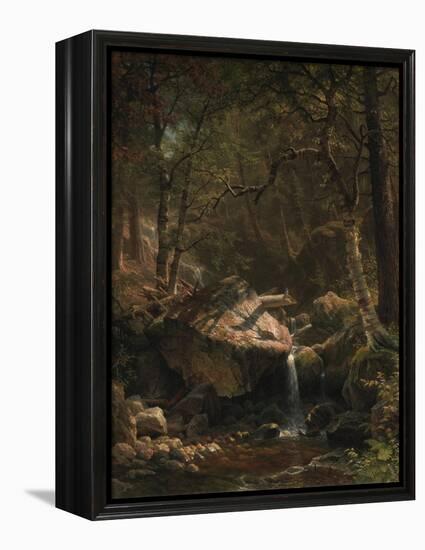 Mountain Brook, 1863-Albert Bierstadt-Framed Premier Image Canvas