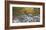 Mountain brook and rocks, Carinthia, Austria-Frank Krahmer-Framed Giclee Print