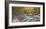 Mountain brook and rocks, Carinthia, Austria-Frank Krahmer-Framed Giclee Print