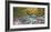 Mountain brook and rocks, Carinthia, Austria-Frank Krahmer-Framed Giclee Print