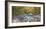 Mountain brook and rocks, Carinthia, Austria-Frank Krahmer-Framed Giclee Print