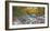 Mountain brook and rocks, Carinthia, Austria-Frank Krahmer-Framed Giclee Print