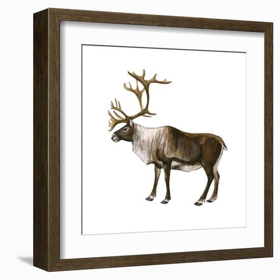 Mountain Caribou (Rangifer Montanus), Mammals-Encyclopaedia Britannica-Framed Art Print