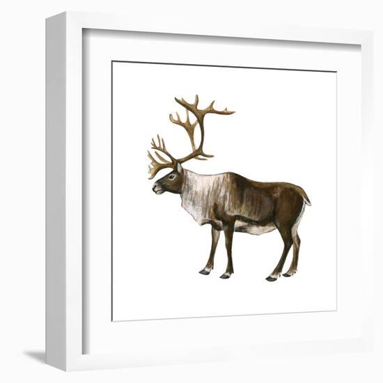 Mountain Caribou (Rangifer Montanus), Mammals-Encyclopaedia Britannica-Framed Art Print