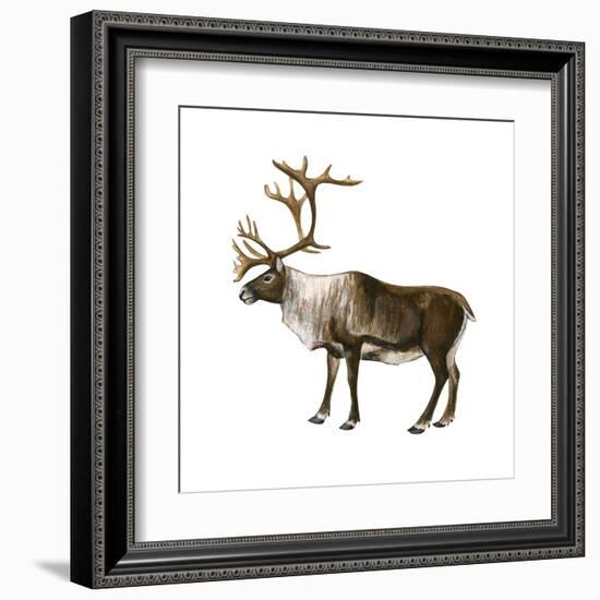 Mountain Caribou (Rangifer Montanus), Mammals-Encyclopaedia Britannica-Framed Art Print