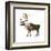 Mountain Caribou (Rangifer Montanus), Mammals-Encyclopaedia Britannica-Framed Art Print