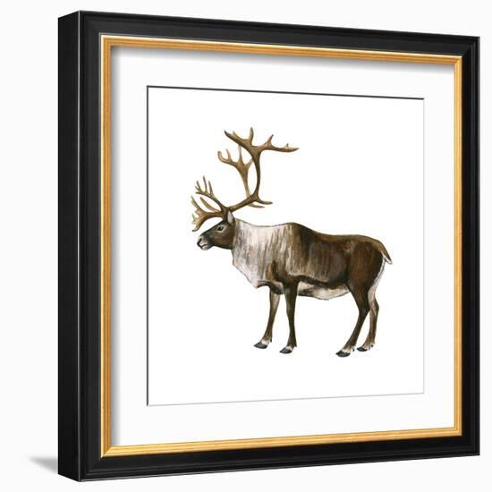 Mountain Caribou (Rangifer Montanus), Mammals-Encyclopaedia Britannica-Framed Art Print