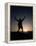 Mountain Climber Rejoices at the Summit at Sunrise-null-Framed Premier Image Canvas