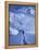 Mountain Climbing on Denali, Alaska, USA-Lee Kopfler-Framed Premier Image Canvas