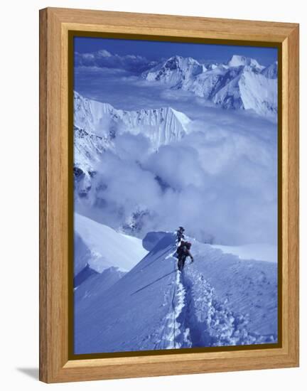 Mountain Climbing on Denali, Alaska, USA-Lee Kopfler-Framed Premier Image Canvas