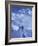 Mountain Climbing on Denali, Alaska, USA-Lee Kopfler-Framed Photographic Print