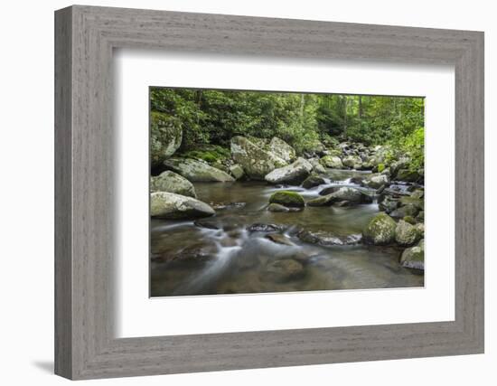 Mountain creek flowing through dense forest woods near the Appalachian Trail, North Carolina, Unite-Jon Reaves-Framed Photographic Print