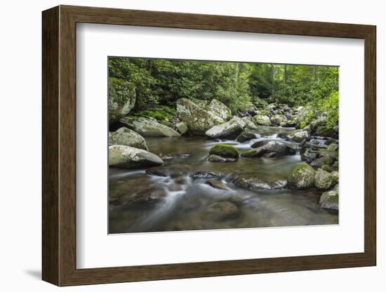 Mountain creek flowing through dense forest woods near the Appalachian Trail, North Carolina, Unite-Jon Reaves-Framed Photographic Print