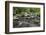 Mountain creek flowing through dense forest woods near the Appalachian Trail, North Carolina, Unite-Jon Reaves-Framed Photographic Print