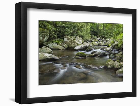 Mountain creek flowing through dense forest woods near the Appalachian Trail, North Carolina, Unite-Jon Reaves-Framed Photographic Print