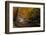 Mountain creek with fall colors, Smoky Mountains, Tennessee-Anna Miller-Framed Photographic Print