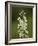 Mountain Death Camas (Zigadenus Elegans), Waterton Lakes Nat'l Park, Alberta, Canada-James Hager-Framed Photographic Print