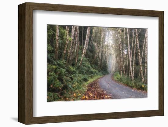 Mountain Drive-Danny Head-Framed Photographic Print