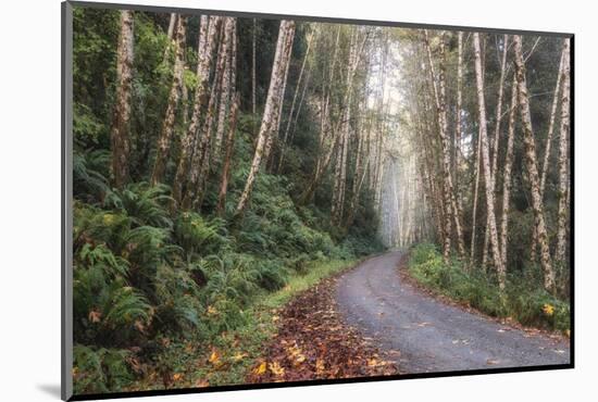 Mountain Drive-Danny Head-Mounted Photographic Print