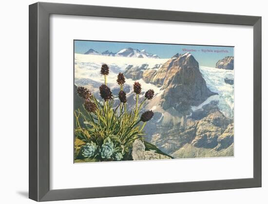 Mountain Flowers, Swiss Alps-null-Framed Art Print