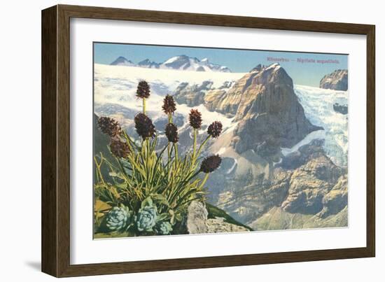 Mountain Flowers, Swiss Alps-null-Framed Art Print