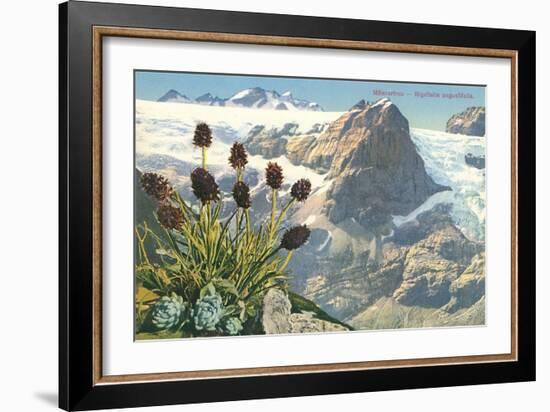 Mountain Flowers, Swiss Alps-null-Framed Art Print
