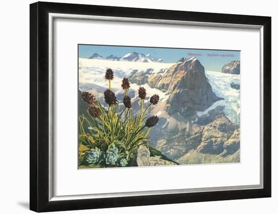 Mountain Flowers, Swiss Alps-null-Framed Art Print